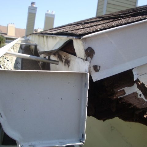 Decay cause by wrong gutter/drip edge installation